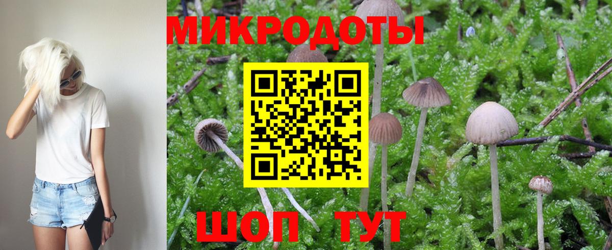Ногинск  Псилоцибиновые грибы прущие грибы  где купить   Вход с VPN 